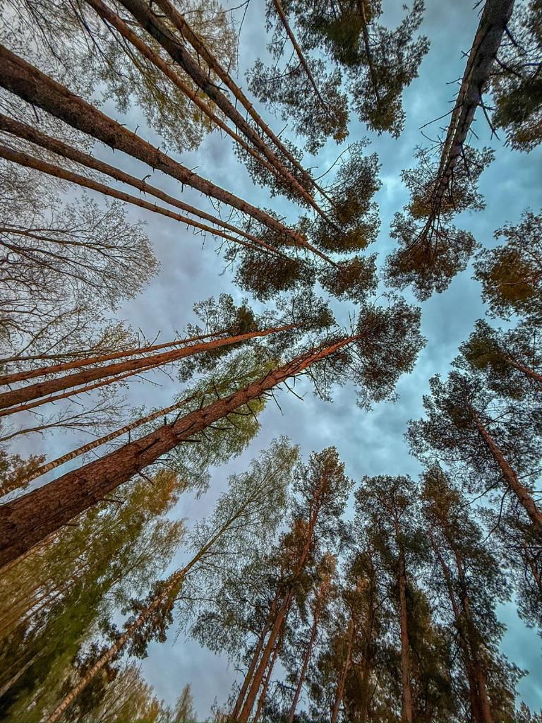 Villa Maennituka Kirikukula  Dış mekan fotoğraf